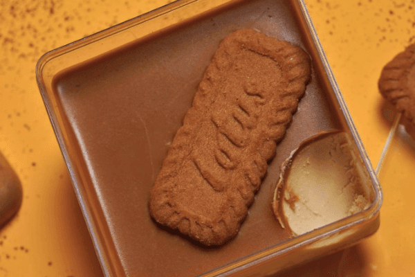 BISCOFF GO BOX